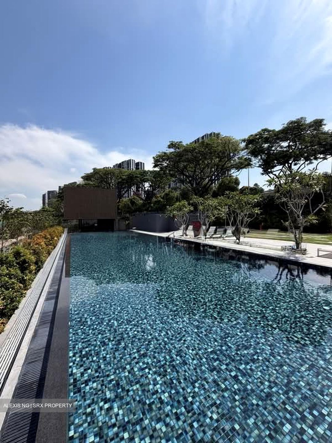 Bartley Vue (D19), Apartment #571389001
